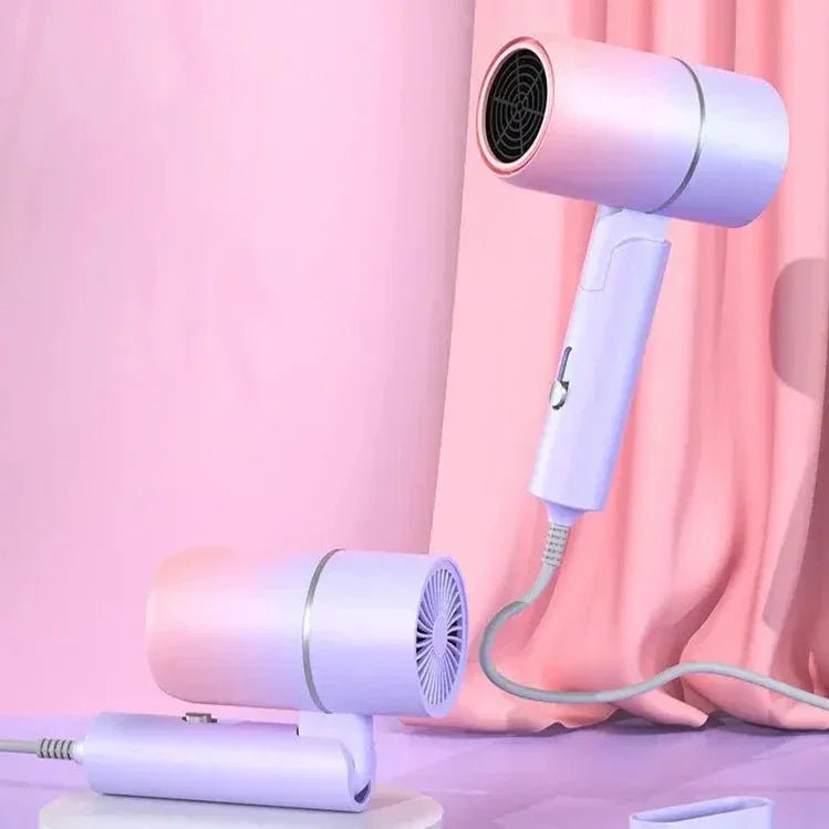 Compact Anion Hair Dryer - GS - choice